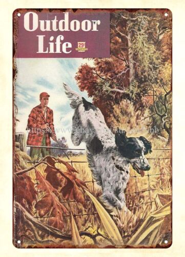 Hunting Dog Outdoor - Decoração de casa, revista OUTDOOR LIFE