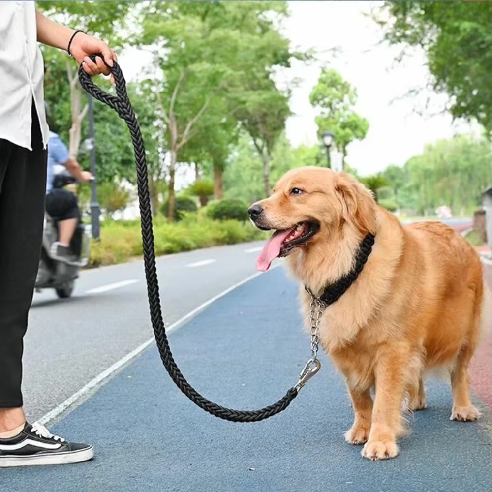 Coleira para Cães Grandes e Ro - Hunting Dog Outdoor avaliação e preço
