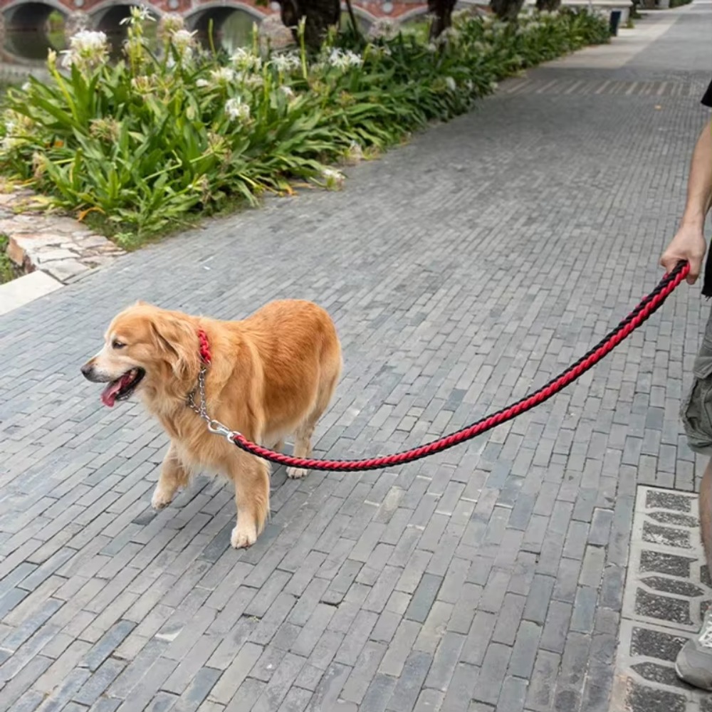 Coleira para Cães Grandes e Ro - Hunting Dog Outdoor avaliação e preço